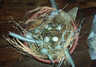 Nest Making Activity in Class – III Dated 28-July-2017