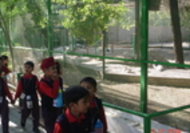 Visit Of Zoo