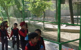 Visit Of Zoo