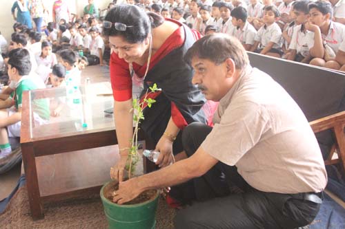 Earth Day Celebration