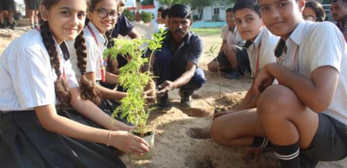 Planting Trees