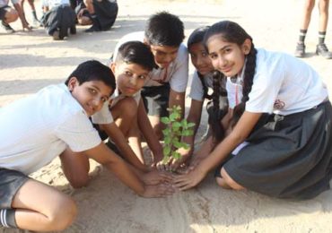 Planting Trees