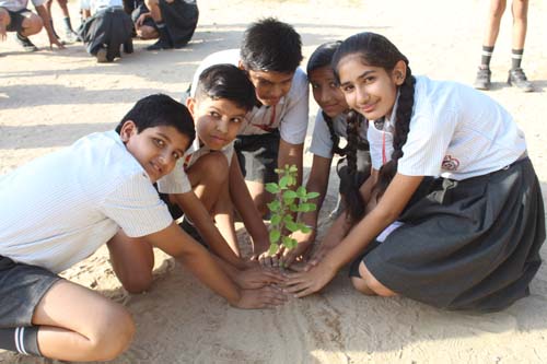 Planting Trees