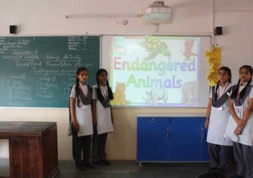 Class Room Activity  (Presentation on Science Subject – Class VIII B,C) 23-Oct-2018