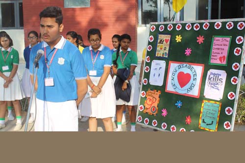 World Diabetes Day : 14-Nov-2018