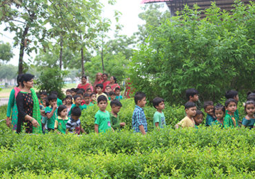 Feel the Green (Kidz)