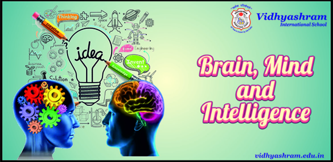 Brain, Mind and Intelligence