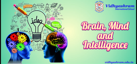 Brain, Mind and Intelligence